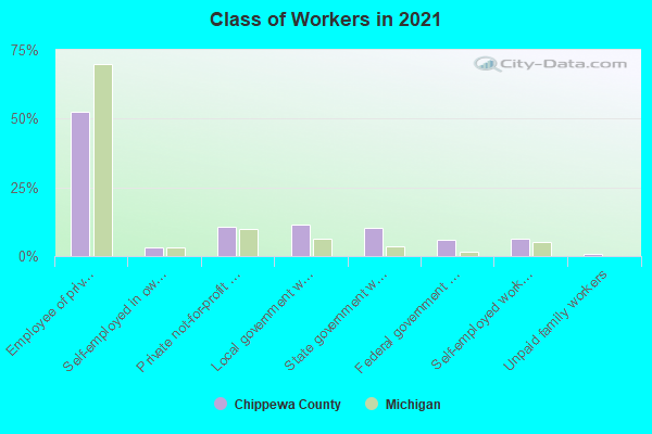 Class of Workers in 2022