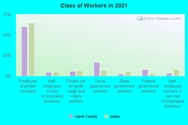 Class of Workers in 2022