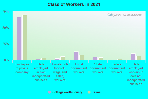 Class of Workers in 2022