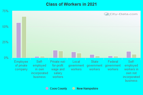 Class of Workers in 2022