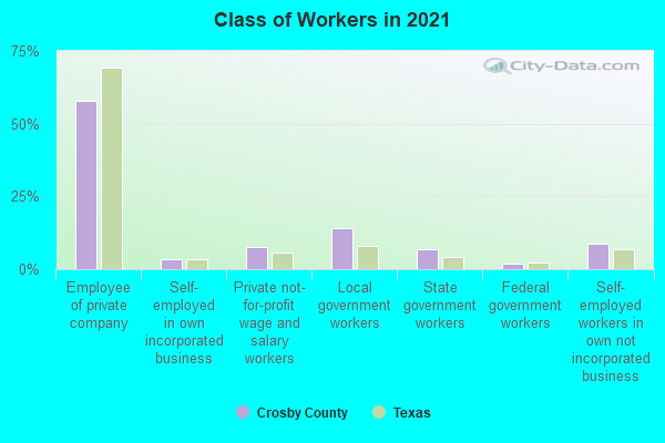 Class of Workers in 2022