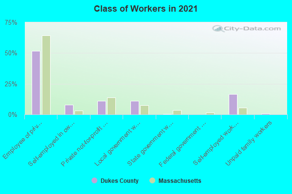 Class of Workers in 2022