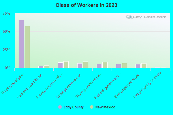 Class of Workers in 2021