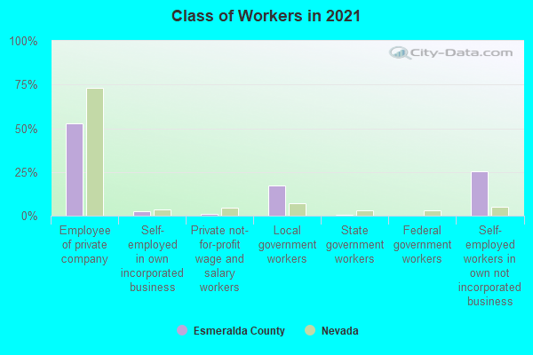 Class of Workers in 2022