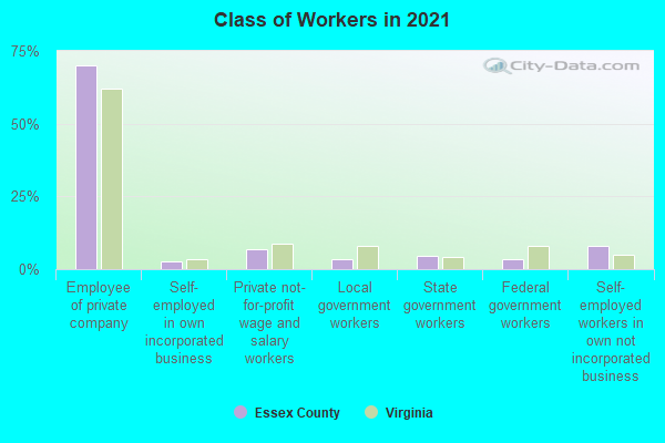 Class of Workers in 2022