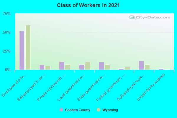 Class of Workers in 2022