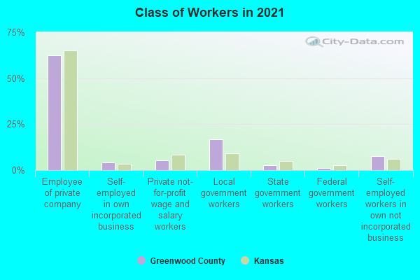 Class of Workers in 2022