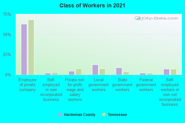 Class of Workers in 2022