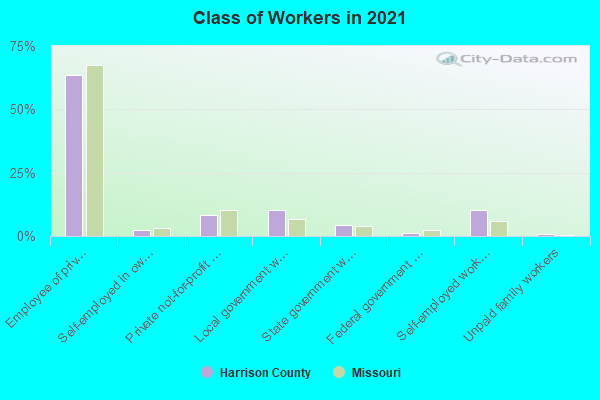 Class of Workers in 2022