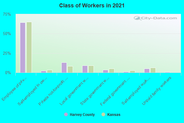 Class of Workers in 2022