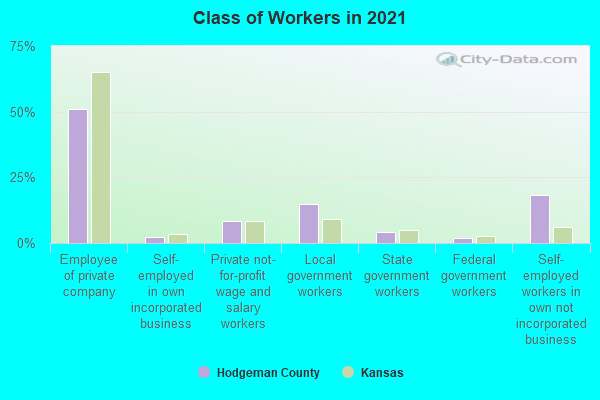 Class of Workers in 2022