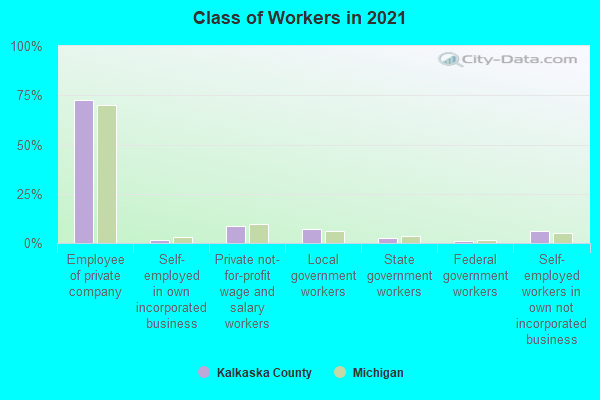 Class of Workers in 2022