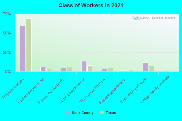 Class of Workers in 2022