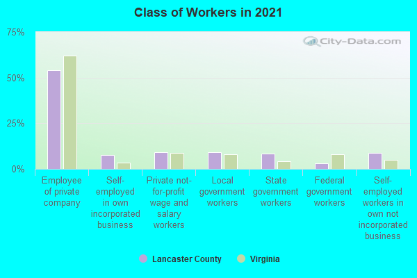 Class of Workers in 2022