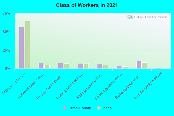 Class of Workers in 2022