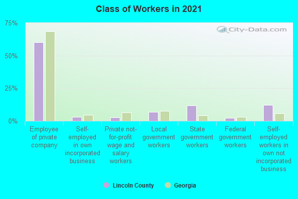 Class of Workers in 2022