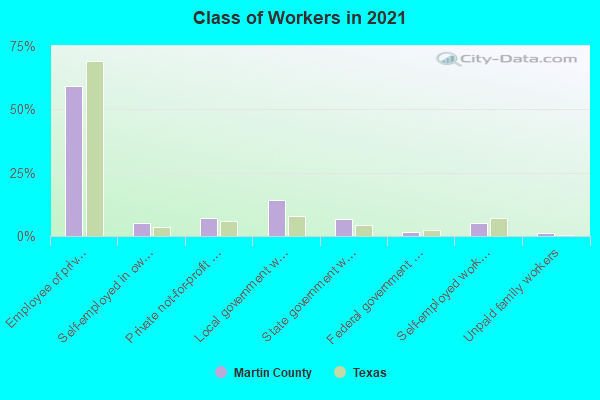 Class of Workers in 2022