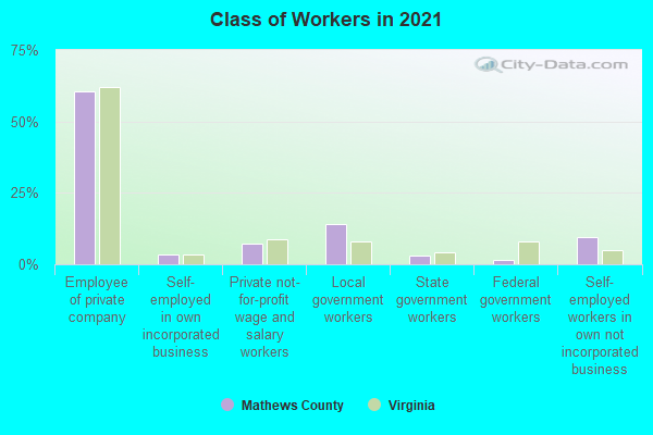 Class of Workers in 2022