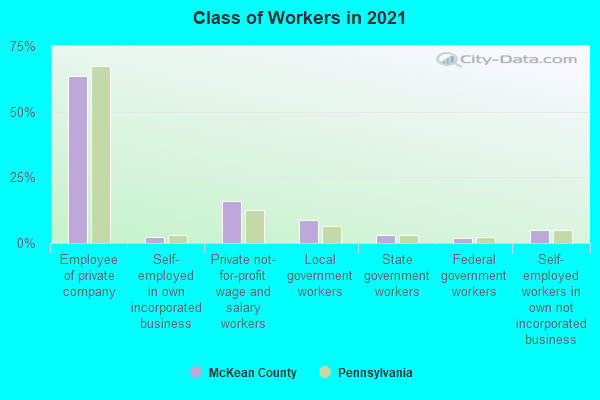 Class of Workers in 2022