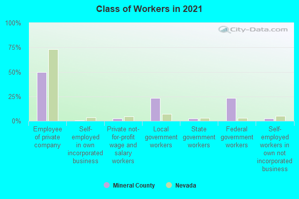 Class of Workers in 2022