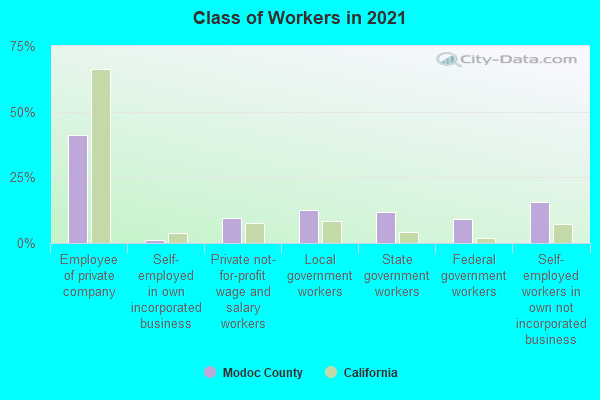 Class of Workers in 2022