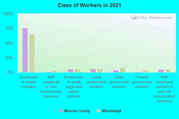 Class of Workers in 2022