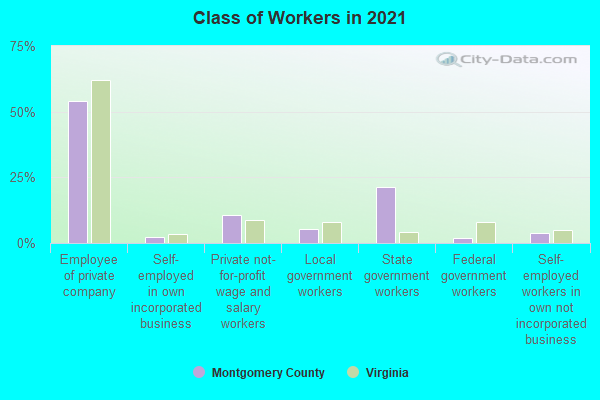 Class of Workers in 2022