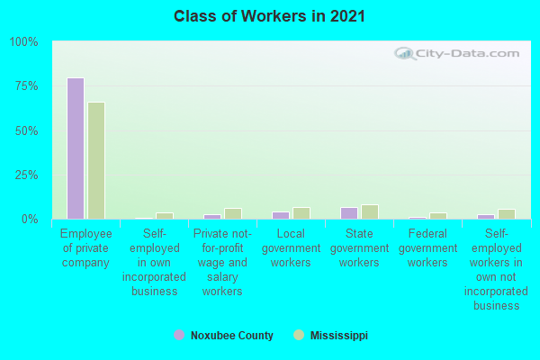 Class of Workers in 2022