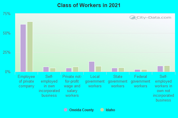 Class of Workers in 2022