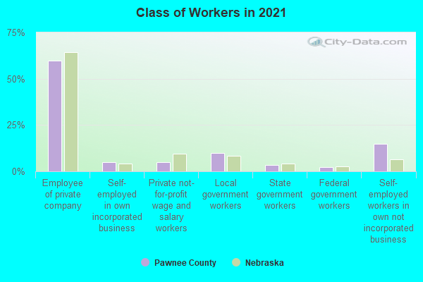 Class of Workers in 2022