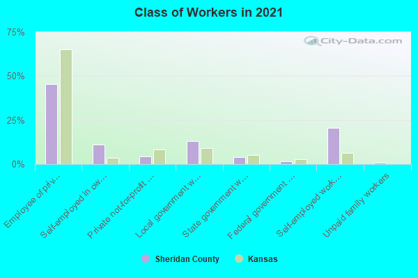 Class of Workers in 2022