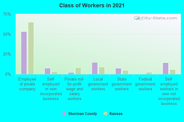 Class of Workers in 2022