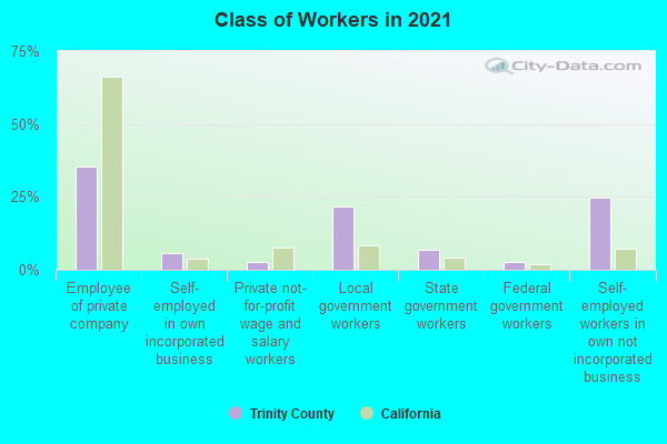 Class of Workers in 2022