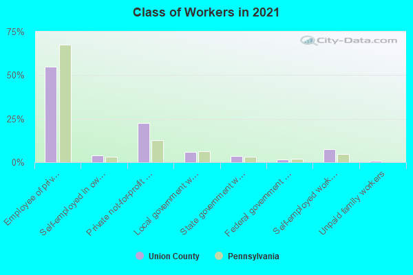 Class of Workers in 2022