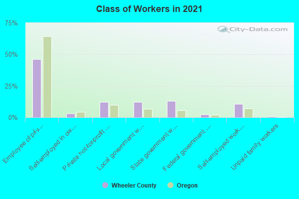 Class of Workers in 2022