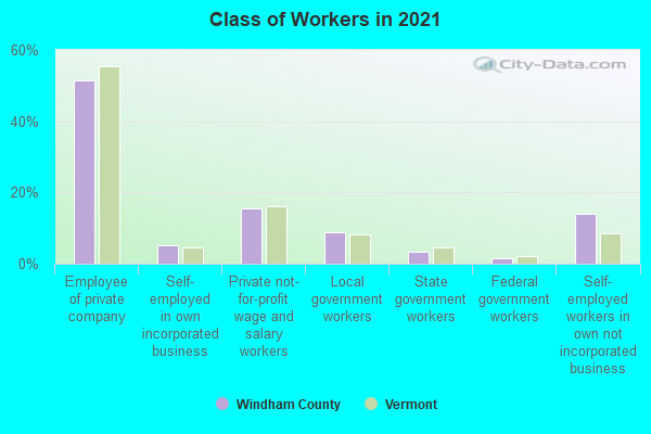 Class of Workers in 2022