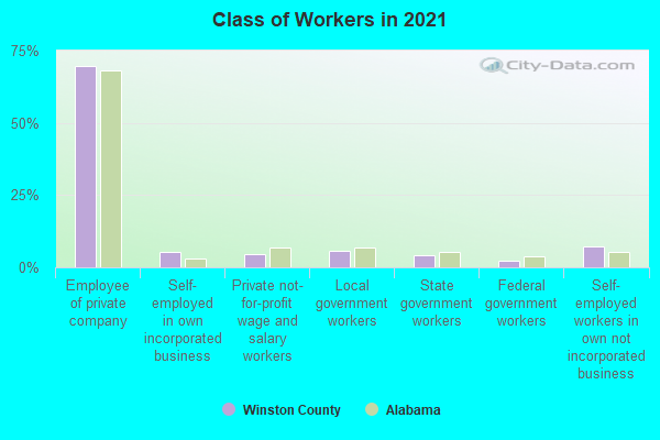 Class of Workers in 2022