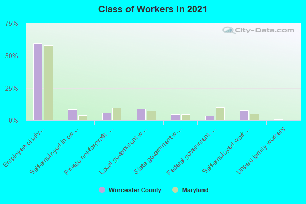 Class of Workers in 2022