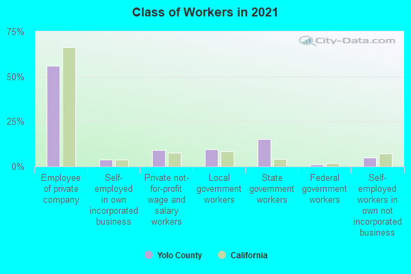 Class of Workers in 2022