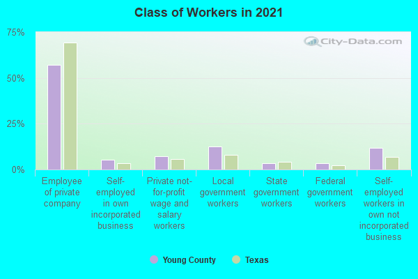 Class of Workers in 2022