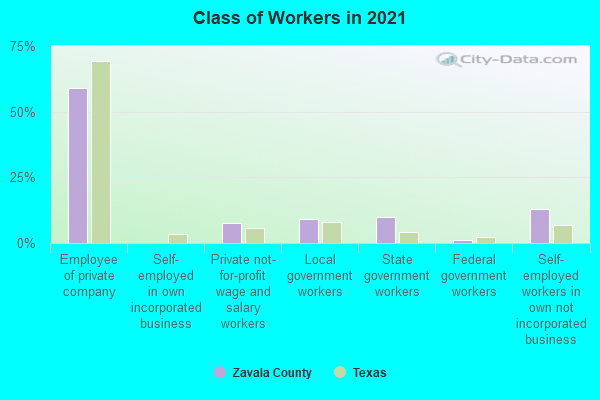 Class of Workers in 2022