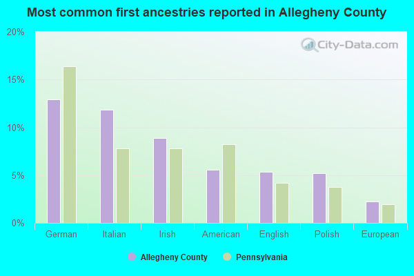 Most common first ancestries reported in Allegheny County