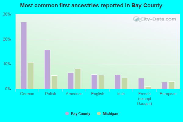 Most common first ancestries reported in Bay County