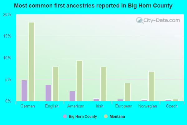 Most common first ancestries reported in Big Horn County