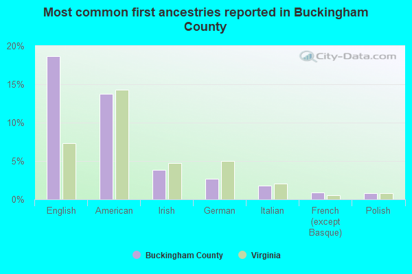 Most common first ancestries reported in Buckingham County