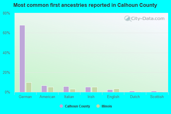 Most common first ancestries reported in Calhoun County