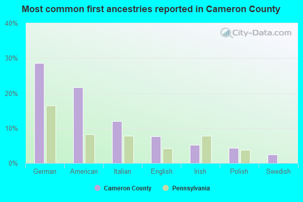 Most common first ancestries reported in Cameron County