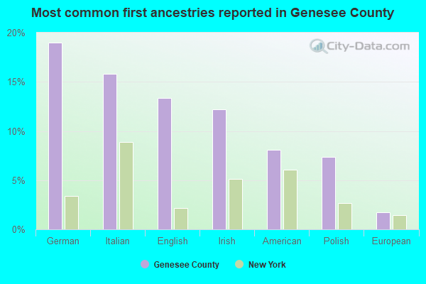 Most common first ancestries reported in Genesee County