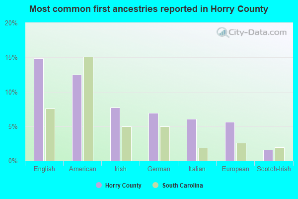 Most common first ancestries reported in Horry County