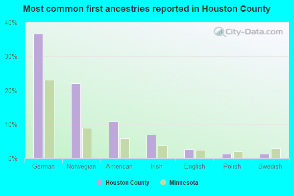 Most common first ancestries reported in Houston County